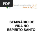 Seminário de Vida no Espírito Santo SVE-COMPLETO
