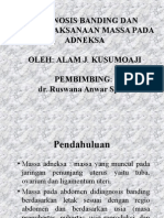 Presentasi Alam