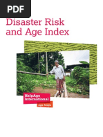 Disaster Risk and Age Index