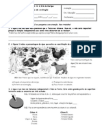 Importância da água para os seres vivos