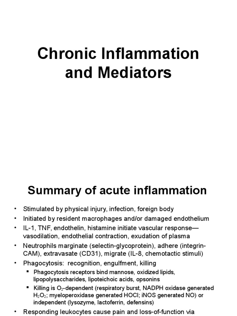 Chronic Inflammation Overview and Causes | PDF | Macrophage | Monocyte