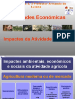 Impactes Da Atividade Agricola