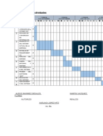 Cronograma de Actividades Sap Erp