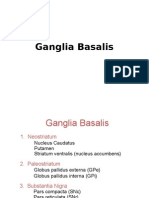 Basal Ganglia