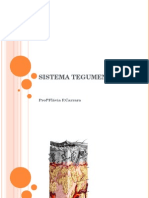 Sistema tegumentar: anatomia, fisiologia e lesões da pele