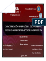 Caracterizacion Mineralogica.pdf