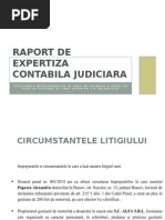 Raport de Expertiza Contabila Judiciara