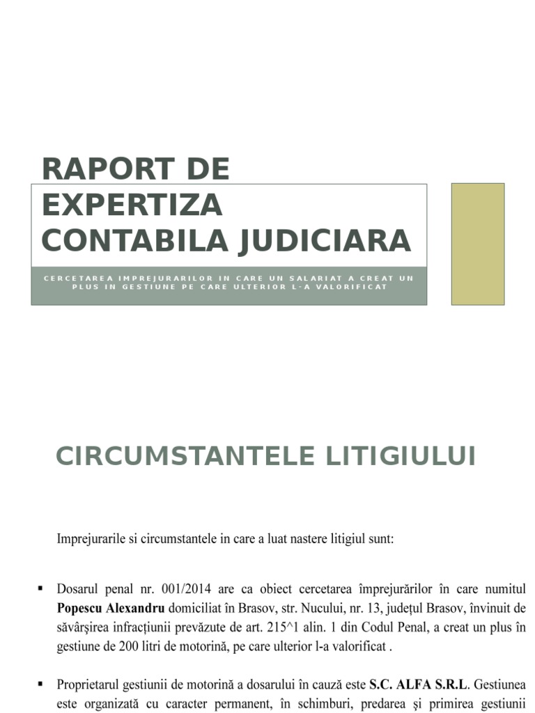 Raport de Expertiza Contabila Judiciara PDF