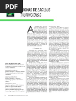 Toxinas de Bacillus Thuringiensis