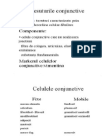 Histologie I