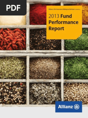 Allianz Life Fund Performance Report 2013.pdf