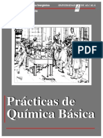 Química Básica PRACTICAS