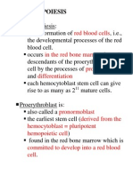 Erythropoiesis Completed Notes PDF