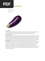 Download Budidaya Terong Ungu by Lia Nurjanah SN258447463 doc pdf