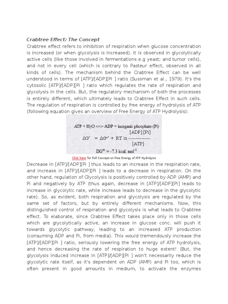 Crabtree Effect | PDF | Glycolysis | Cellular Respiration