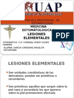 Lesiones Elementales