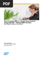 How To Install and Configure SMP in A Cluster Env 3.x With SP05 - Final