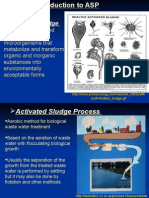 Activated Sludge Processes