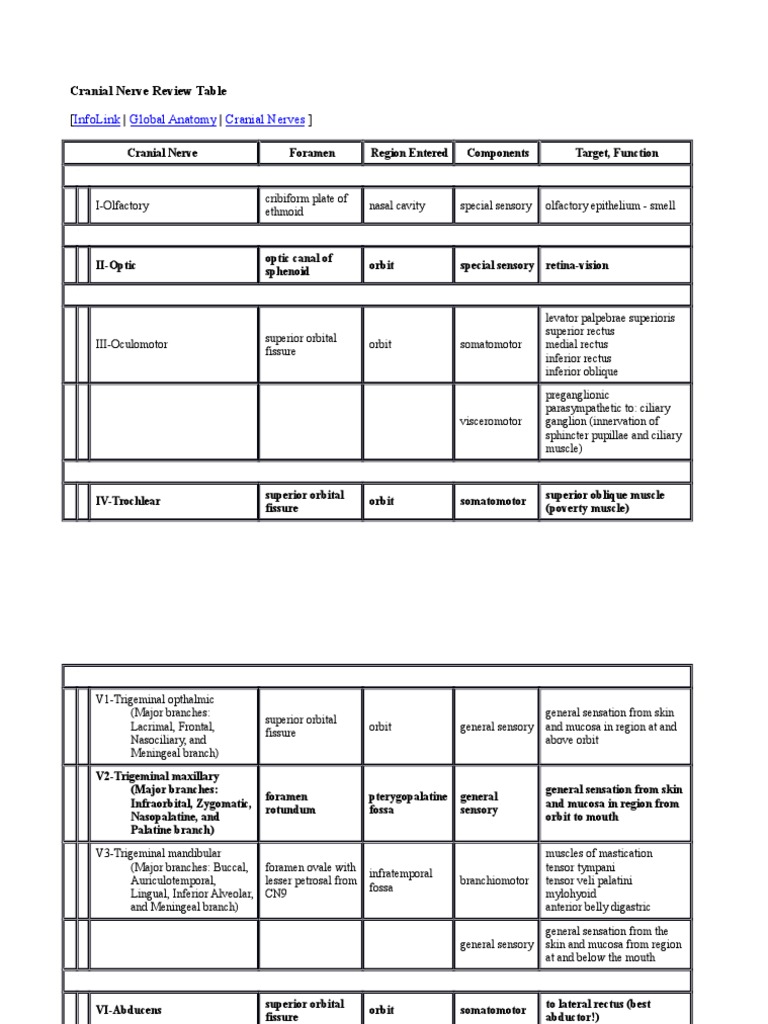 Cranial Nerve Function Overview | PDF | Human Head And Neck | Human Anatomy