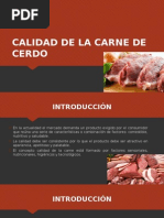 Cemento Portland IP YURA MSDS | Cemento | Quemar