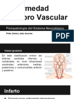 Neuro, Enfermedad Cerebrovascular