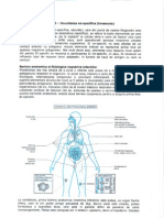 imunologie cianga an 2 mg