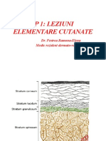 Lp1 Leziuni Elementare Cutanate