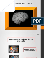Neuropsihologie Clinica Curs 3