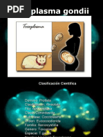 Download Toxoplasma gondii exposicion by diazisabel SN25848236 doc pdf