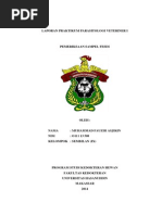 Download Laporan Praktikum Parasitologi Veteriner i by Stephanie Datu Rara SN258485946 doc pdf