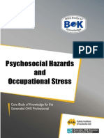 19 Hazard Psychosocial PDF