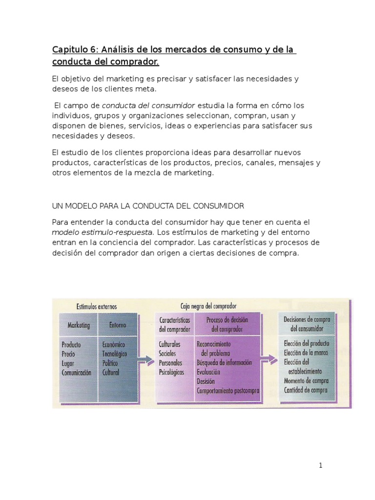 Capitulo 6 Direccion Del Marketing | PDF | Los consumidores | Marketing