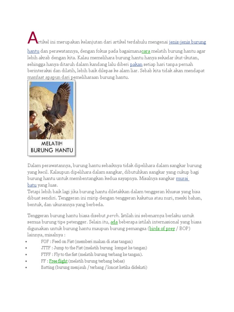 Menjinak Burung Hantu Pdf