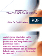 Embriologi Genitalia Wanita-Thn Lalu