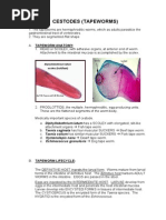 Lecture 5 Cestodes