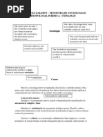 Durkheim, Karl Max e Weber - Esquema