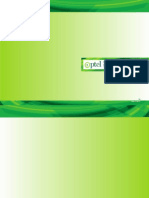 PTCL Consolidated Financials-2013.pdf
