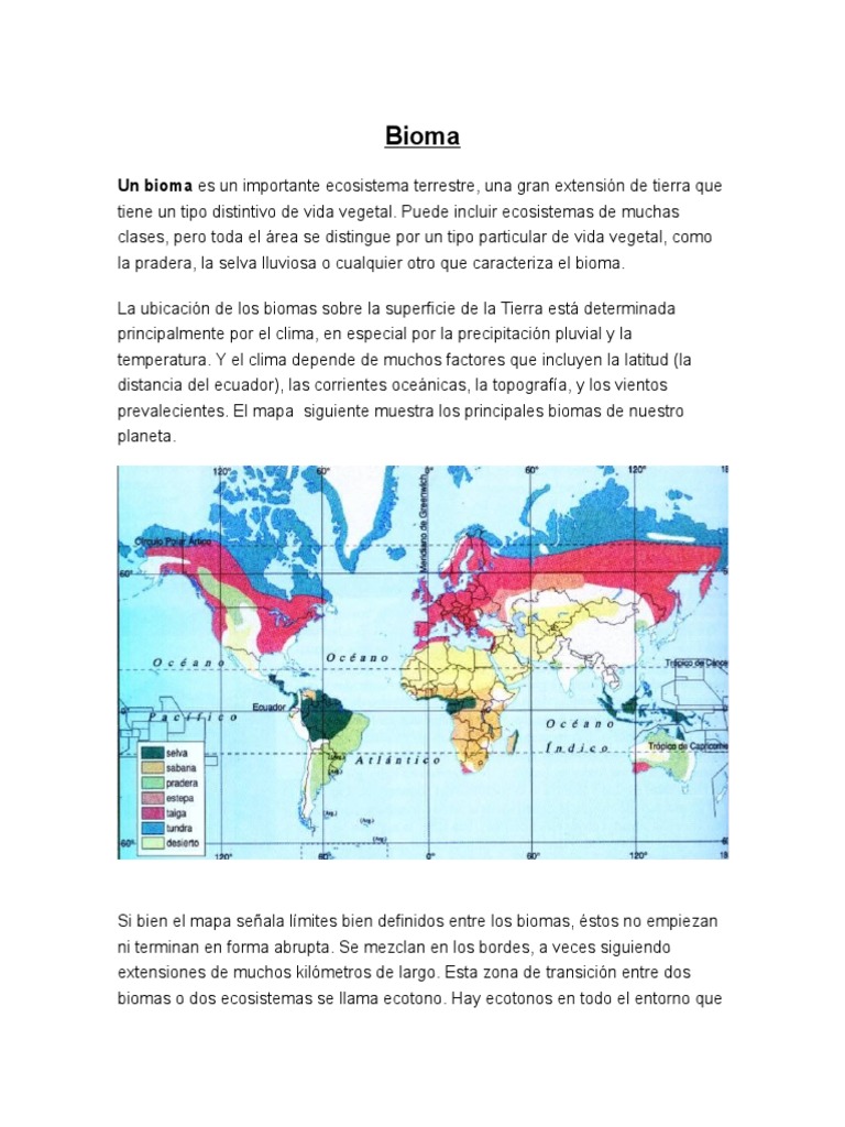 Biomas Del Mundo | PDF | Desierto | Selva