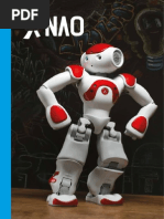 nao evolution v5
