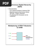 Synchronous Digital Hierarchy (SDH)