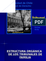 Estructura de Los Tribunales de Familia