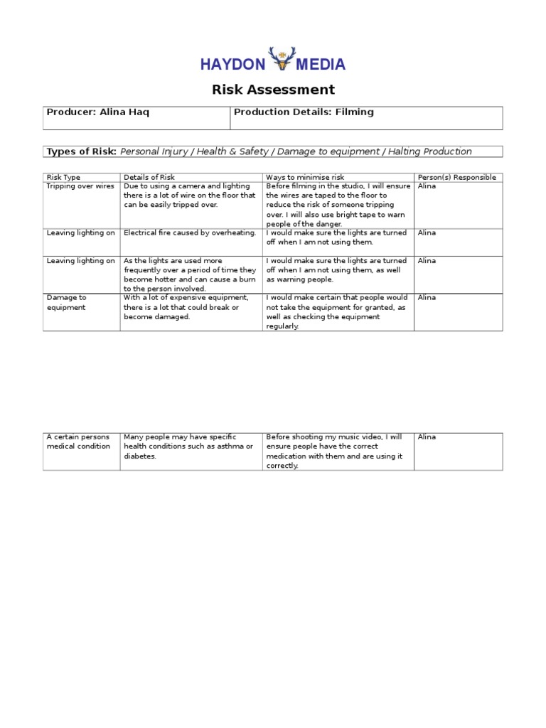 Risk Assessment | PDF