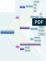 2.observacion Según Participación