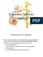 10 Sistema Nervoso Autonomo