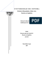 13Tmbc PDF