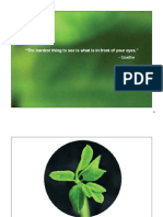 Moringa Presentation (General) Print