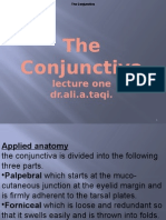 The Conjunctiva: Lecture One DR - Ali.a.taqi