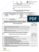 3.1 Plan Institutional Dez Profesionala Tipiza v2