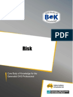 31-Risk.pdf
