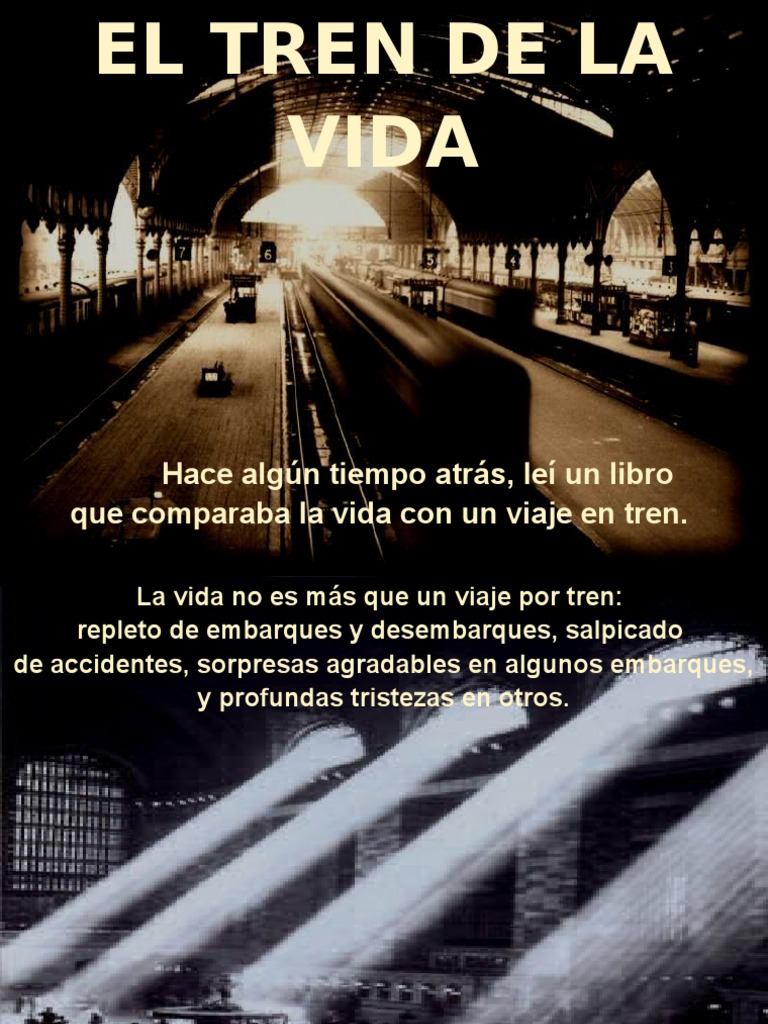 El Tren de La Vida PDF Reflexión (Física) Concepto